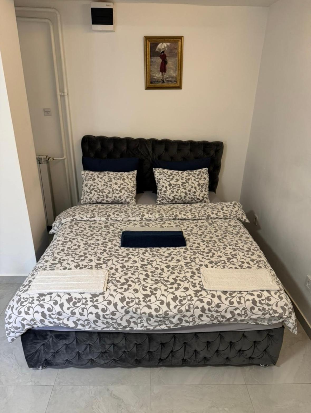 Alexandar13 Apartment เบลเกรด ภายนอก รูปภาพ